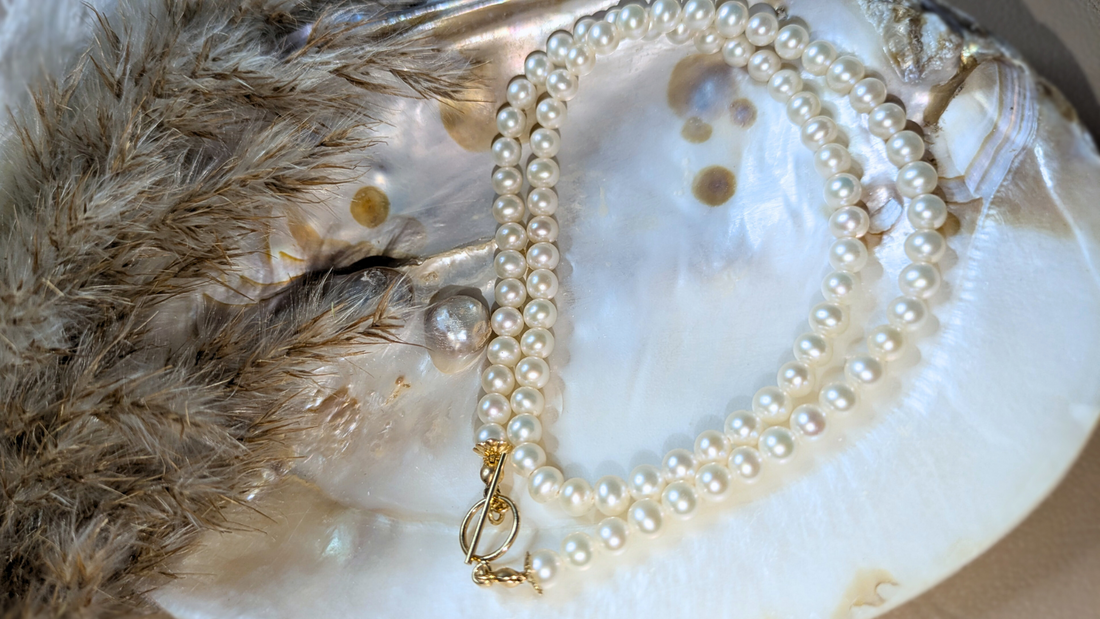 mother of pearl nacre shell with a round pearl necklace