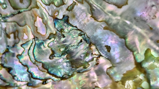 Understanding Mother of Pearl: A Comprehensive Guide