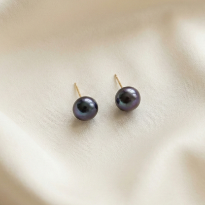 Vivi X-Large (10.5 mm) Black Pearl Stud Earrings